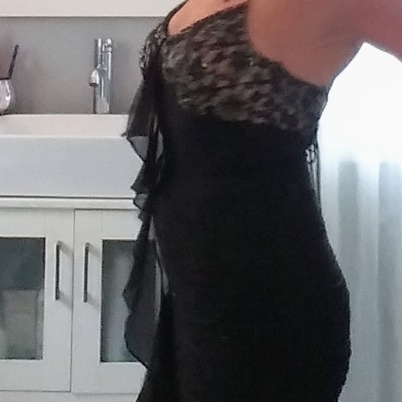 Cache | Sequined Cocktail Floor Length Dress - Picture 13 of 14